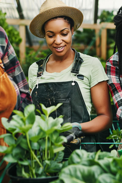 Custom Garden Solutions