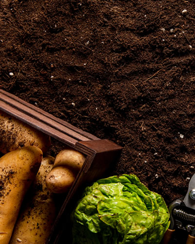 Organic Fertilizers and Pesticides