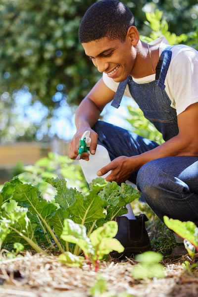 Organic Fertilizers and Pesticides