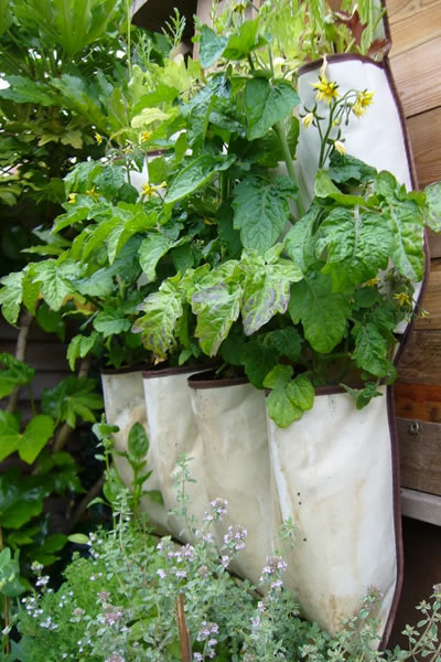 Vertical Garden Design and Installation