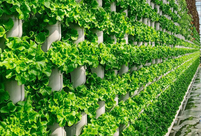 mazao extra custom garden solutions