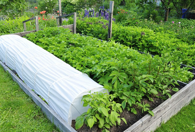 mazao extra custom garden solutions
