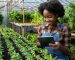 lean farming