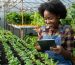 lean farming