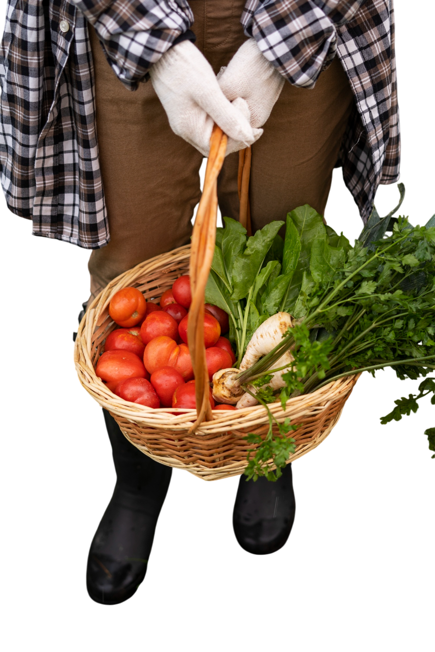 mazao extra organic fertilizer
