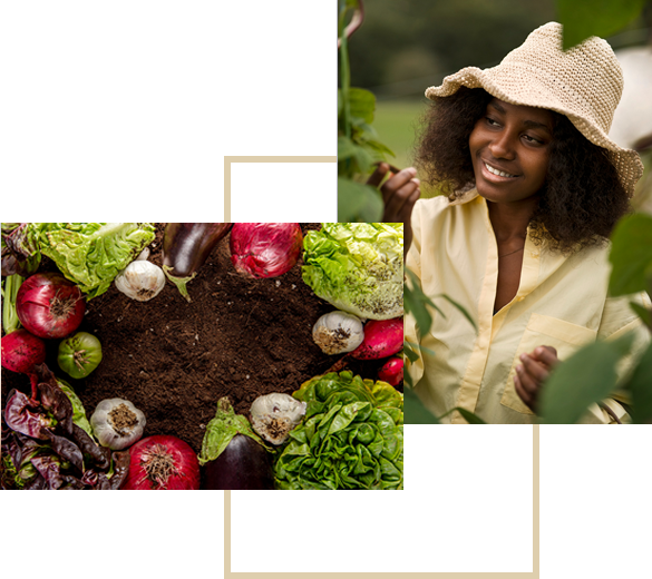 mazao extra services and products