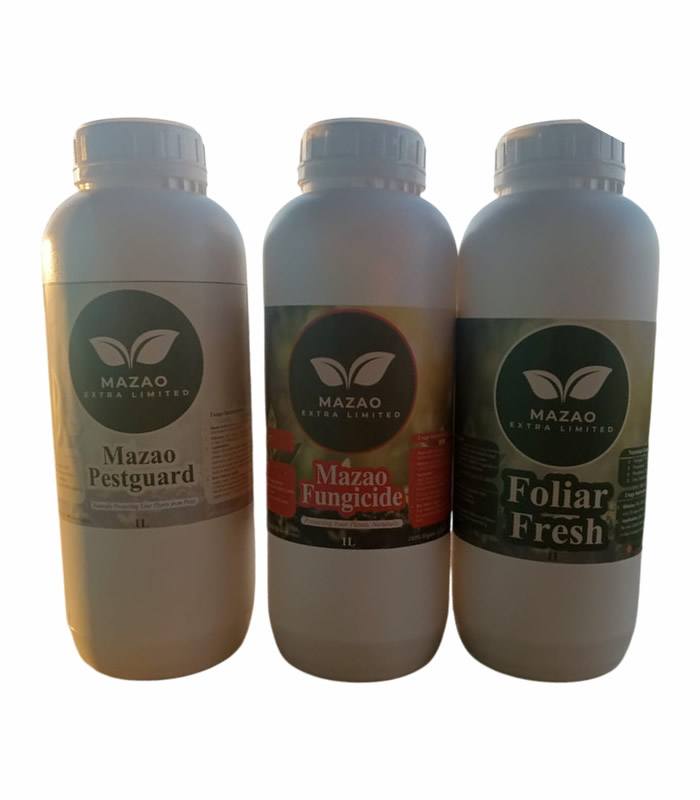 mazao three-pack
