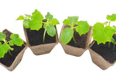 organic fertilizers and pesticides
