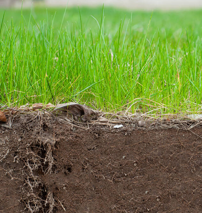 organic fertilizers and pesticides