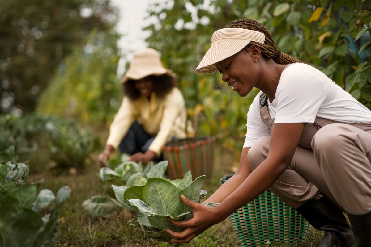 the future of organic farming