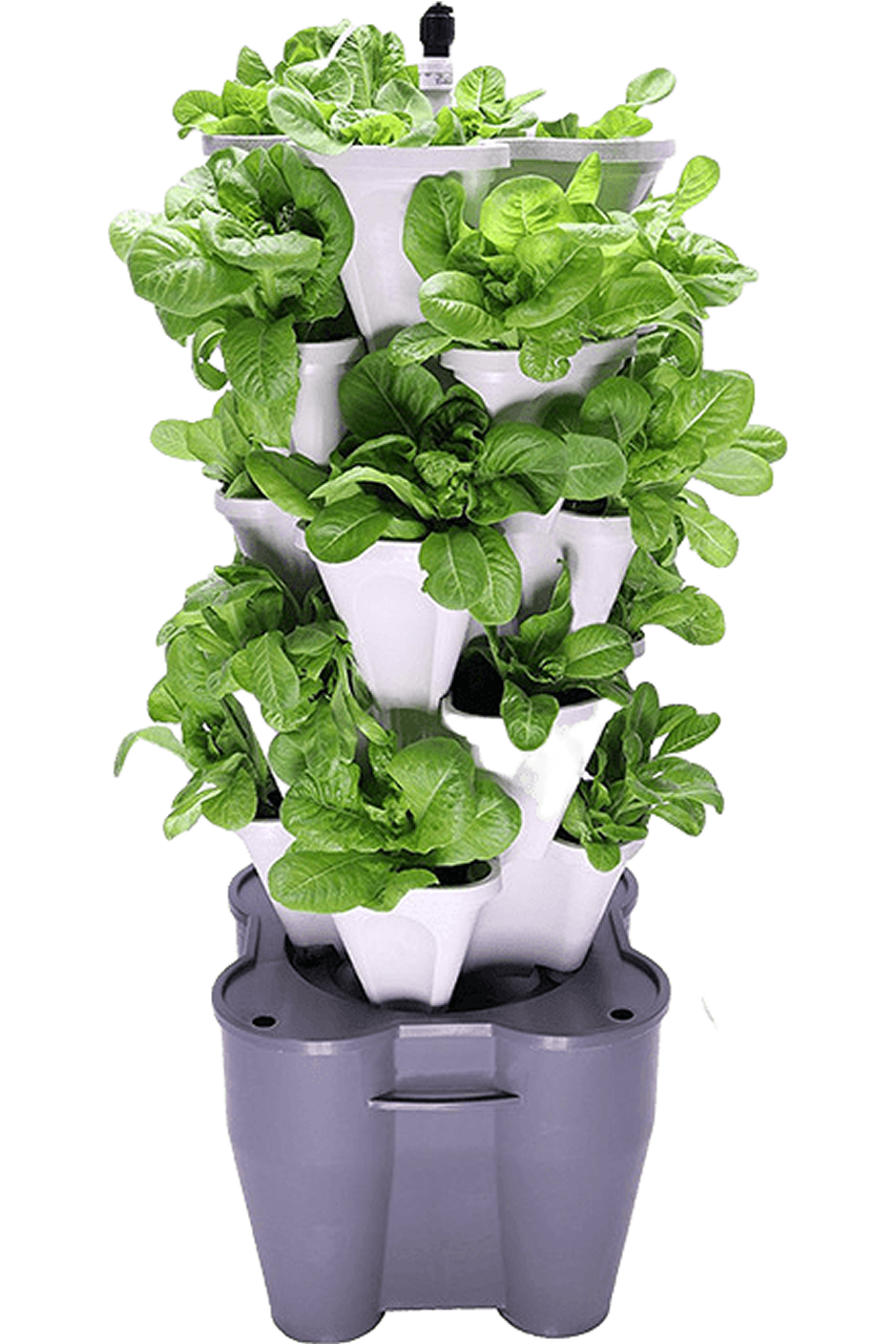 vertical garden design and installation