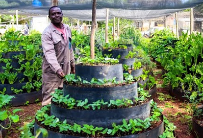 vertical garden design and installation