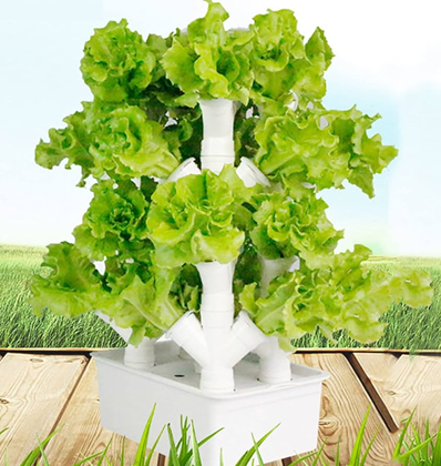 vertical garden design and installation
