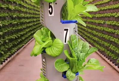 vertical garden design and installation